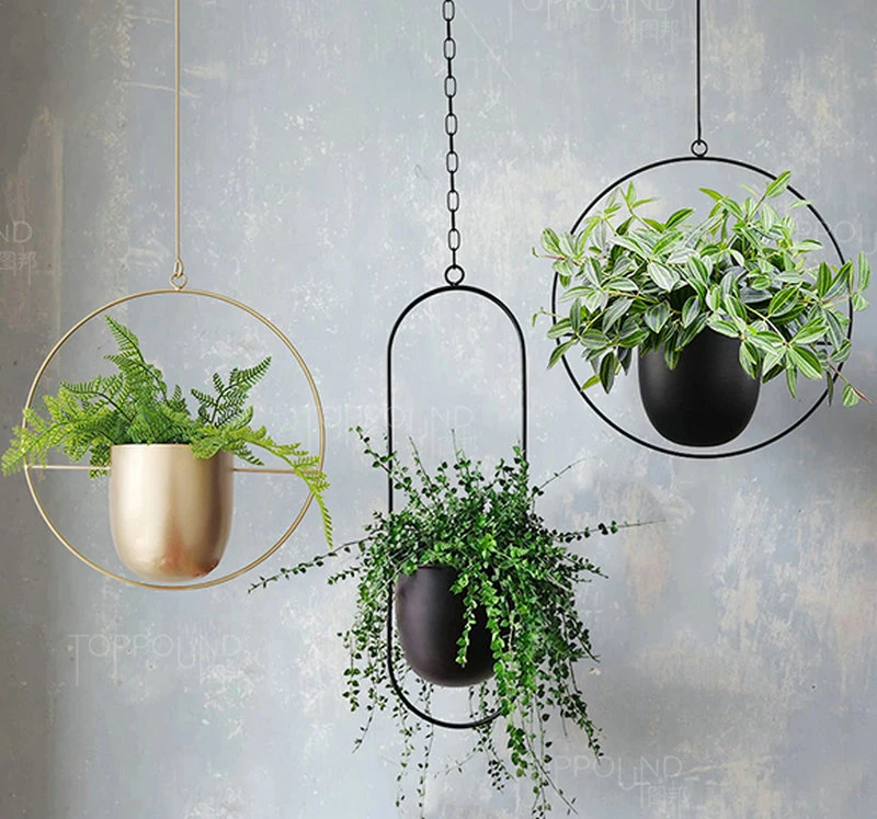 Hanging Planters for Indoor & Outdoor Plant with 6